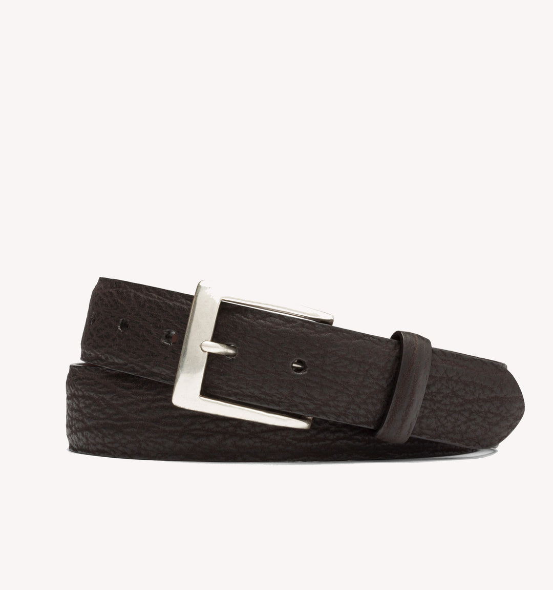 W. Kleinberg Shark Belt in Chocolate