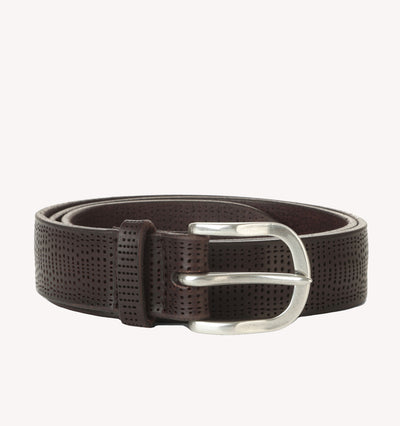 Orciani Bull Perforated Belt in Brown